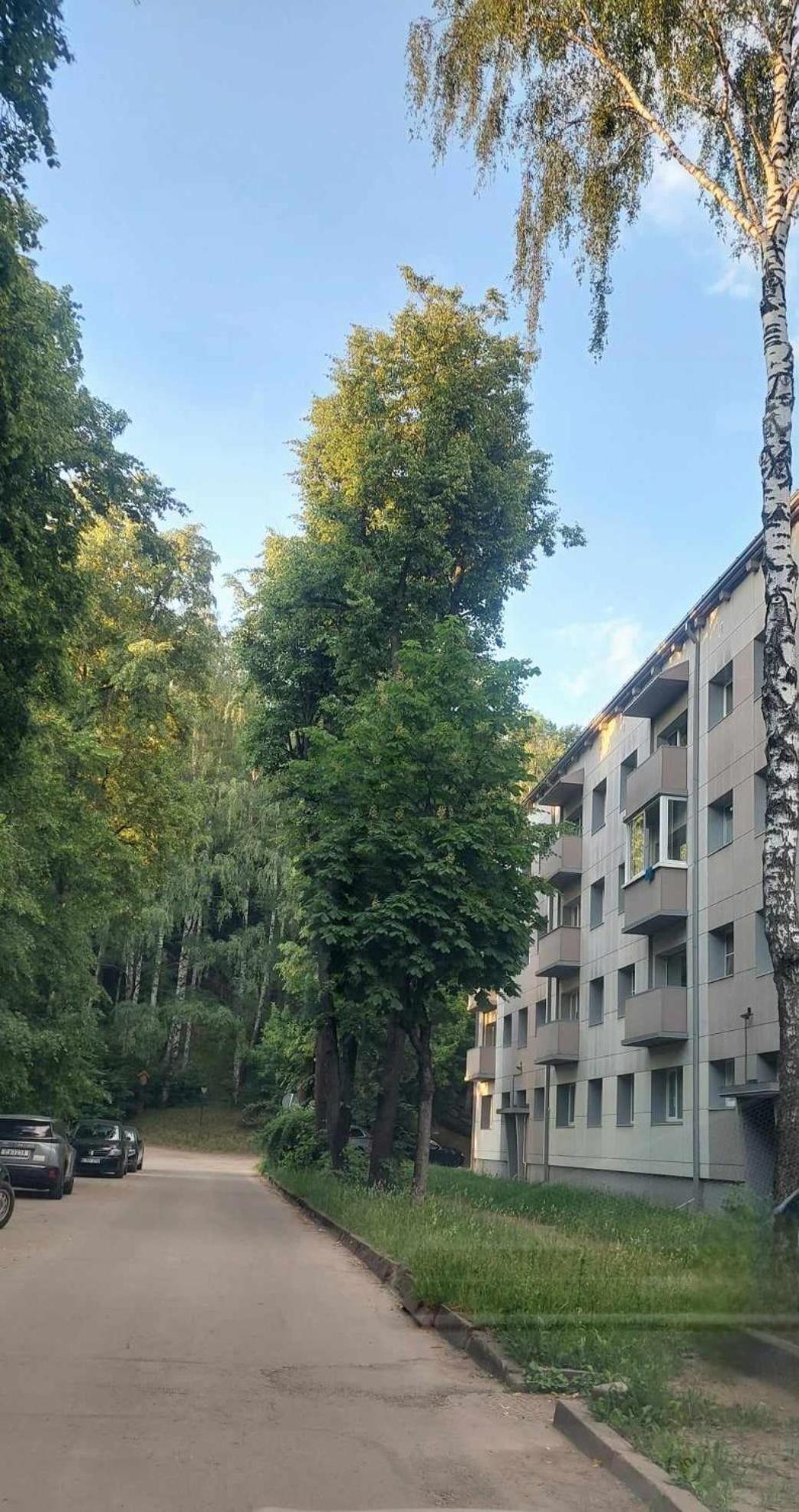 Raudondvario II Kaunas Eksteriør billede